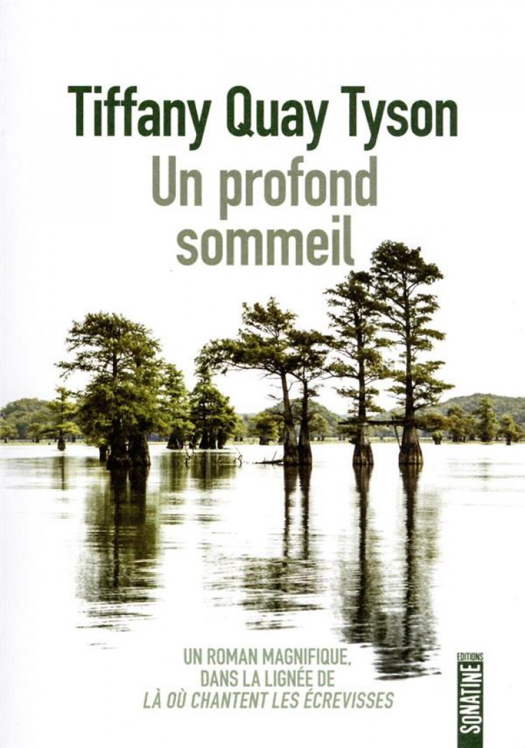 UN PROFOND SOMMEIL - TYSON TIFFANY QUAY - SONATINE